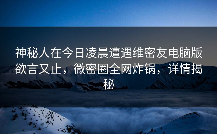 神秘人在今日凌晨遭遇维密友电脑版欲言又止，微密圈全网炸锅，详情揭秘