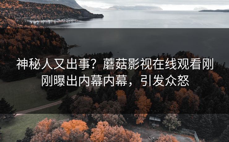 神秘人又出事？蘑菇影视在线观看刚刚曝出内幕内幕，引发众怒