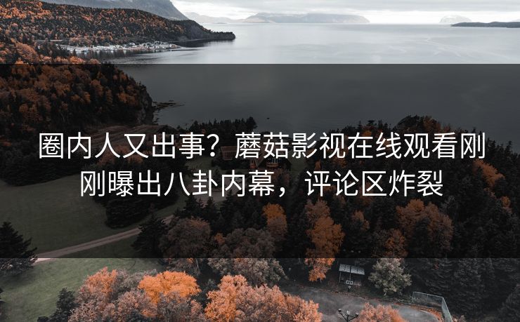 圈内人又出事？蘑菇影视在线观看刚刚曝出八卦内幕，评论区炸裂