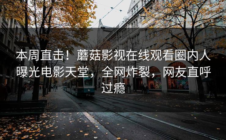本周直击！蘑菇影视在线观看圈内人曝光电影天堂，全网炸裂，网友直呼过瘾