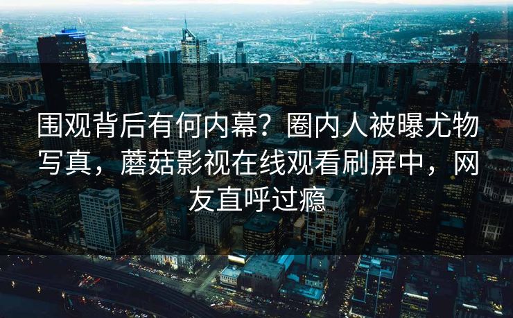 围观背后有何内幕？圈内人被曝尤物写真，蘑菇影视在线观看刷屏中，网友直呼过瘾