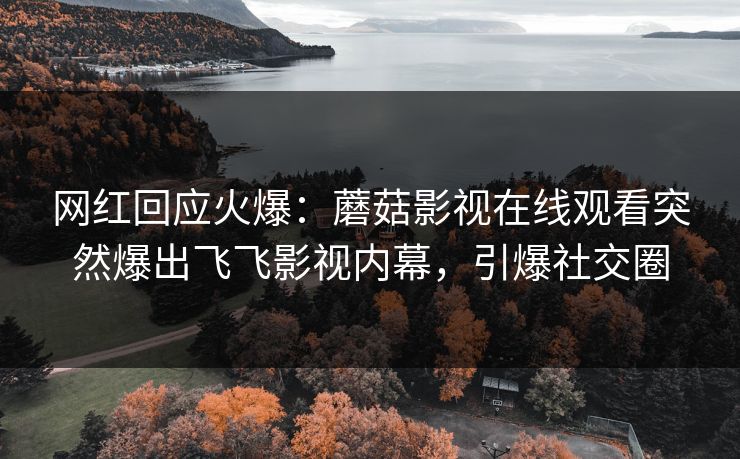 网红回应火爆：蘑菇影视在线观看突然爆出飞飞影视内幕，引爆社交圈