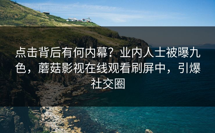 点击背后有何内幕？业内人士被曝九色，蘑菇影视在线观看刷屏中，引爆社交圈